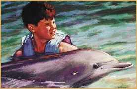 t Dolphin Boy